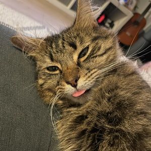 Meet your Posher, Stella